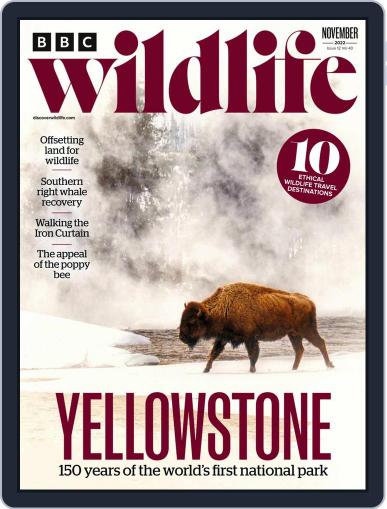 Bbc Wildlife November 1st, 2022 Digital Back Issue Cover