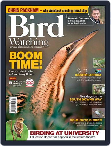 Bird Watching November 1st, 2022 Digital Back Issue Cover