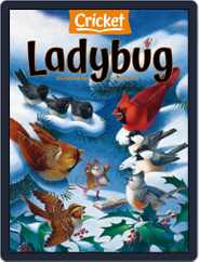 Ladybug Stories, Poems, And Songs Magazine For Young Kids And Children (Digital) Subscription                    November 1st, 2022 Issue