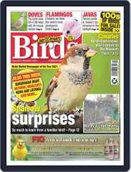 Cage & Aviary Birds (Digital) Subscription                    November 2nd, 2022 Issue