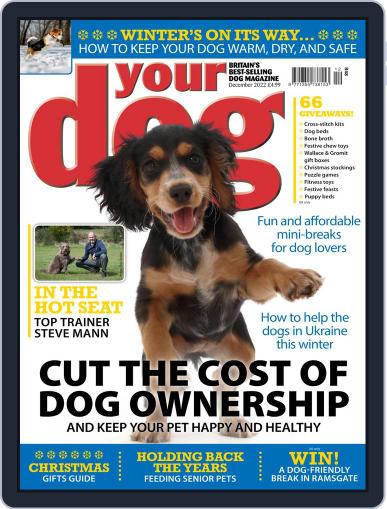 Your Dog December 1st, 2022 Digital Back Issue Cover