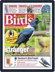Cage & Aviary Birds (Digital) Subscription                    November 9th, 2022 Issue