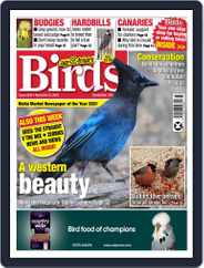 Cage & Aviary Birds (Digital) Subscription                    November 23rd, 2022 Issue