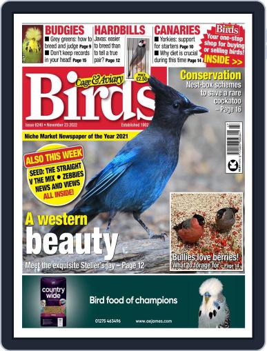 Cage & Aviary Birds November 23rd, 2022 Digital Back Issue Cover