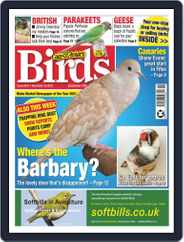 Cage & Aviary Birds (Digital) Subscription                    November 30th, 2022 Issue