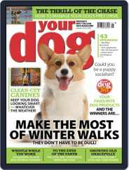 Your Dog (Digital) Subscription                    January 1st, 2023 Issue