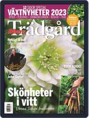 Allers Trädgård (Digital) Subscription                    January 1st, 2023 Issue