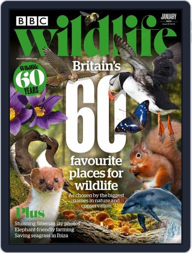 Bbc Wildlife January 1st, 2023 Digital Back Issue Cover