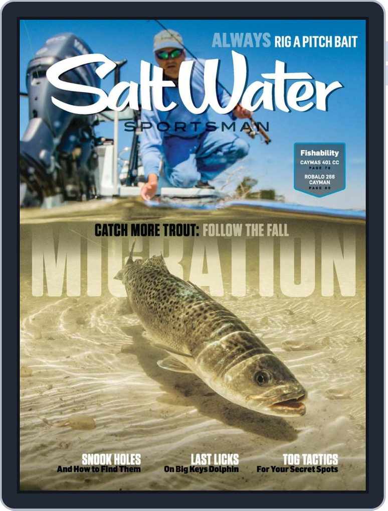 Salt Water Sportsman August/September 2022 (Digital)