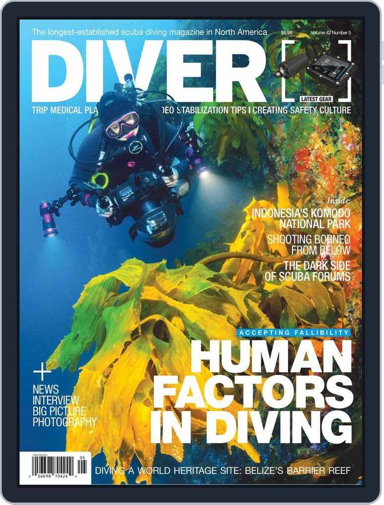 Northern Diver big summer sale - DIVE Magazine