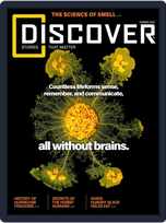 Discover (Digital)