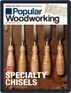 Popular Woodworking Magazine (Digital) September 1st, 2022 Issue Cover