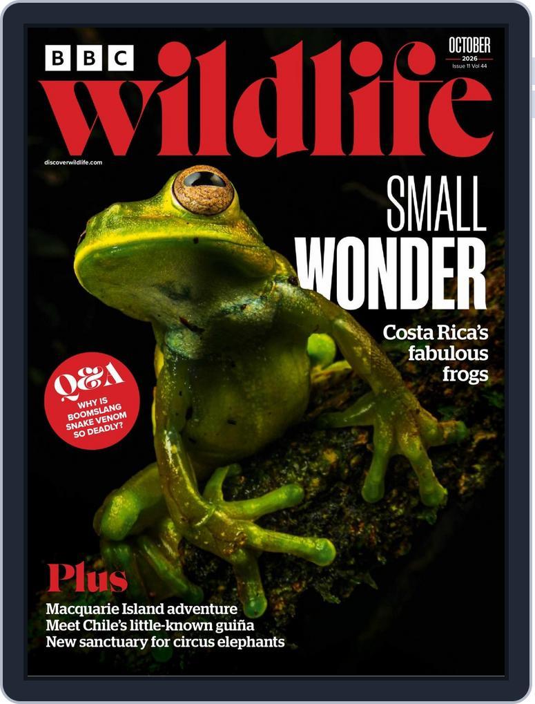 Bbc Wildlife (Digital)