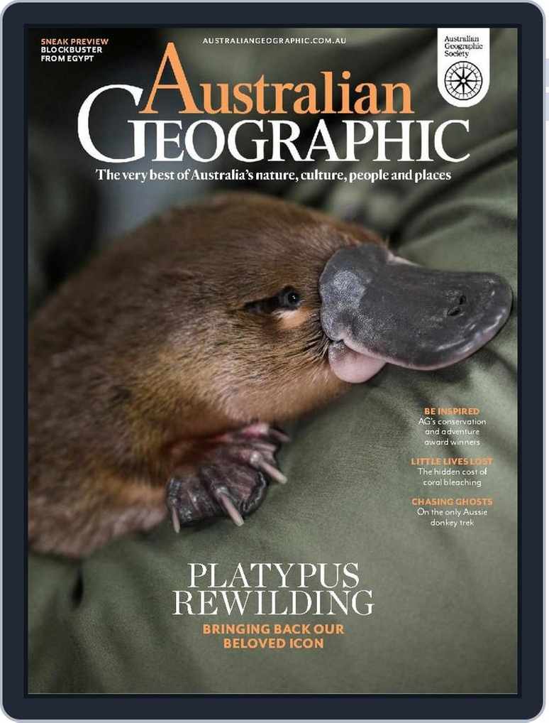 https://img.discountmags.com/https%3A%2F%2Fimg.discountmags.com%2Fproducts%2Fextras%2F57679-australian-geographic-cover-2023-november-1-issue.jpg%3Fbg%3DFFF%26fit%3Dscale%26h%3D1019%26mark%3DaHR0cHM6Ly9zMy5hbWF6b25hd3MuY29tL2pzcy1hc3NldHMvaW1hZ2VzL2RpZ2l0YWwtZnJhbWUtdjIzLnBuZw%253D%253D%26markpad%3D-40%26pad%3D40%26w%3D775%26s%3D05d7302cffa8a18d0911ca637fa31211?auto=format%2Ccompress&cs=strip&h=1018&w=774&s=1efbc17feb32bb7a6c5c09cb0afd3d35