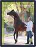 Arabian Horse World Magazine (Digital) June 11th, 2021 Issue Cover