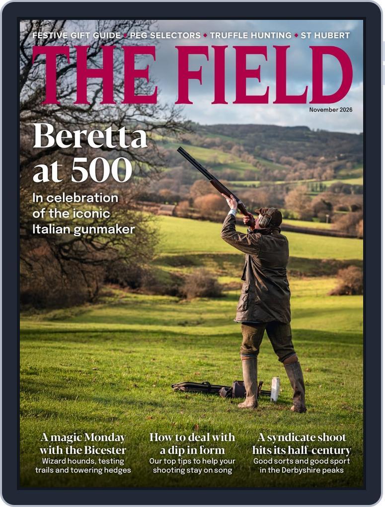 The Field (Digital)