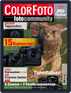 Colorfoto Magazine (Digital) May 17th, 2022 Issue Cover