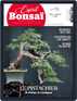 Esprit Bonsai Magazine (Digital) December 1st, 2021 Issue Cover