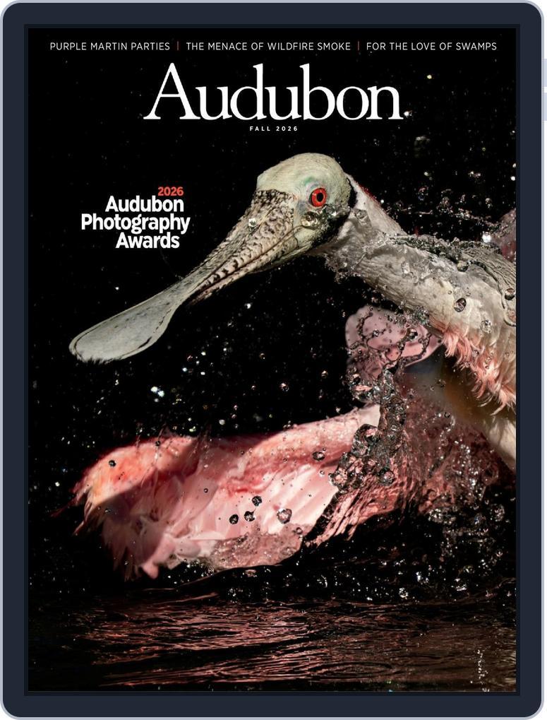 Audubon (Digital)