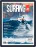 Digital Subscription Surfing Life