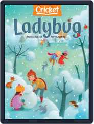 Ladybug Stories, Poems, And Songs Magazine For Young Kids And Children Magazine (Digital) Subscription January 1st, 2022 Issue