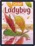 Ladybug Stories, Poems, And Songs Magazine For Young Kids And Children Digital