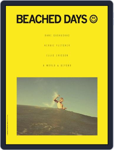 Surfer’s Beached Days