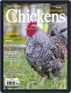Chickens Digital Subscription
