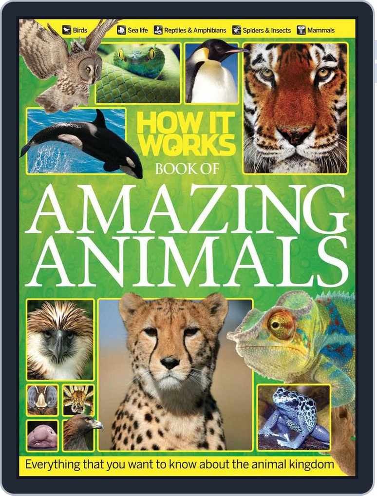 How It Works Book of Amazing Animals Magazine (Digital) 
