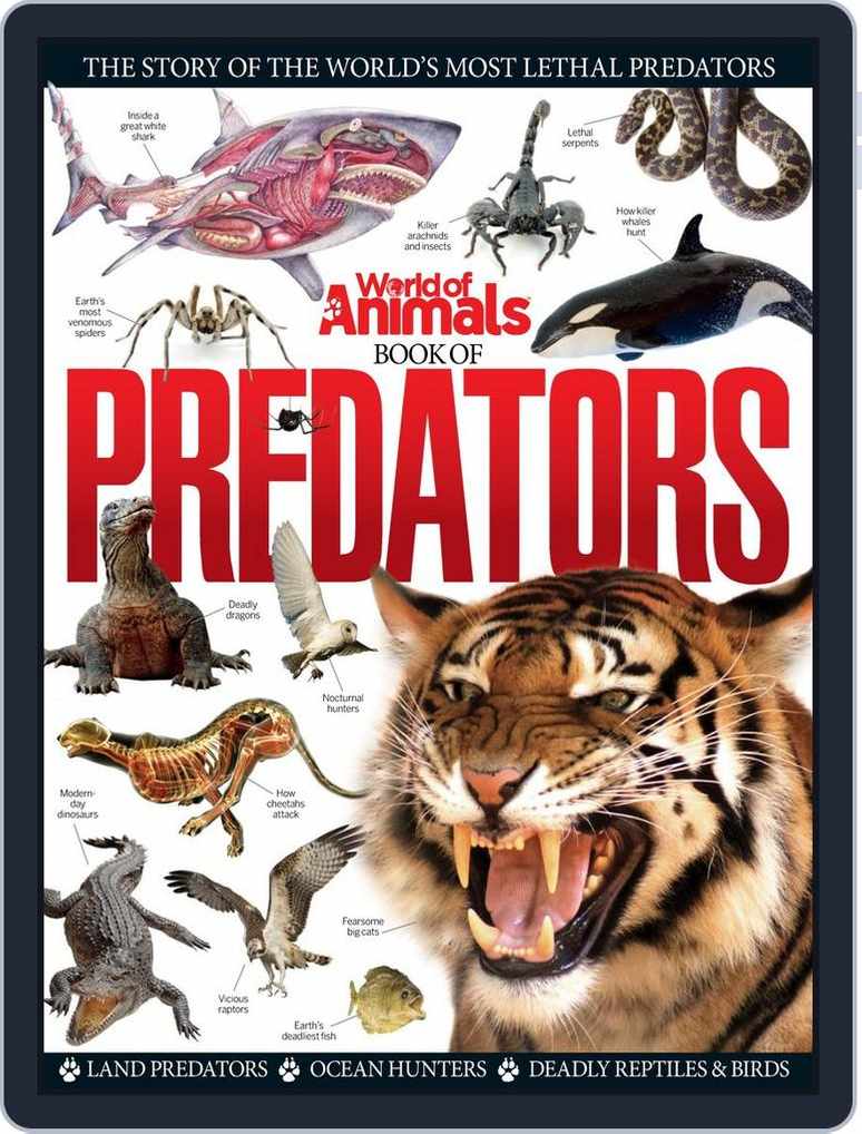 predator animals