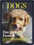 dogs Magazine (Digital) November 1st, 2020 Issue Cover