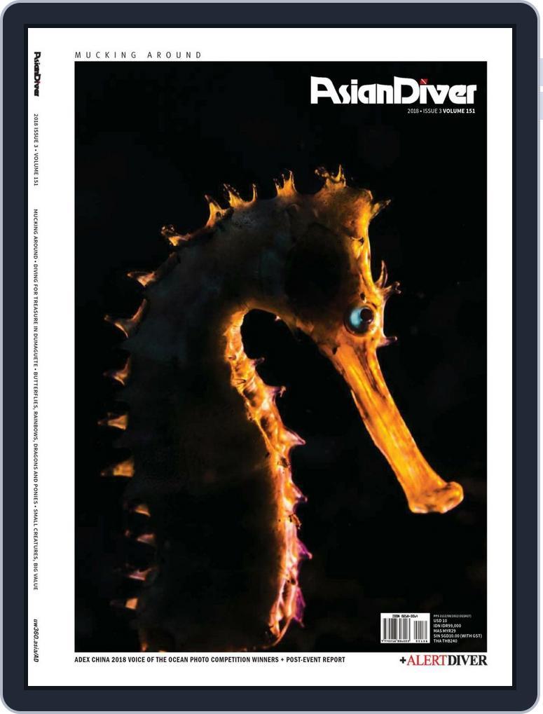 Asian Diver (Digital) Subscription