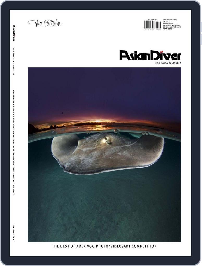 Asian Diver (Digital) Subscription
