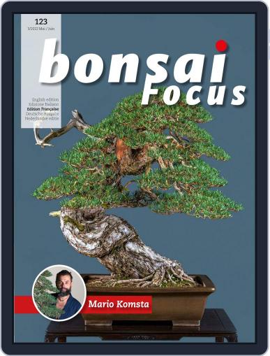 Bonsai Focus Fr Digital Back Issue Cover