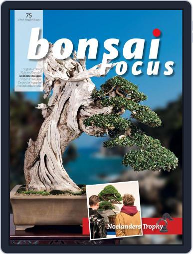 Bonsai Focus IT Digital Back Issue Cover
