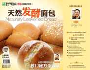 Naturally Leavened Bread ( 天然发酵面包 Magazine (Digital) Subscription