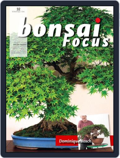 Bonsai Focus ES Digital Back Issue Cover