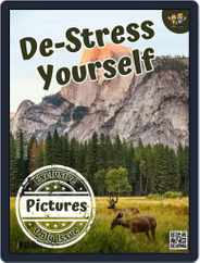 De-Stress Yourself Magazine (Digital) Subscription