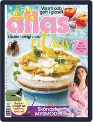 Allas (Digital) Subscription                    January 3rd, 2023 Issue