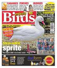 Cage & Aviary Birds (Digital) Subscription                    January 4th, 2023 Issue