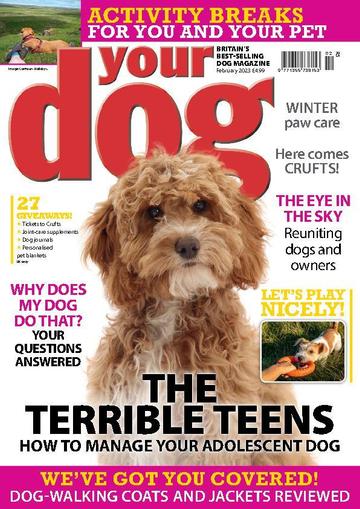 Your Dog February 1st, 2023 Digital Back Issue Cover