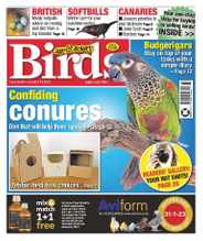 Cage & Aviary Birds (Digital) Subscription                    January 11th, 2023 Issue