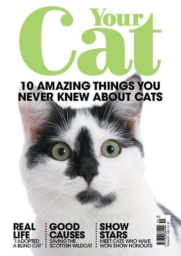 Your Cat February 1st, 2023 Digital Back Issue Cover