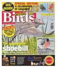 Cage & Aviary Birds (Digital) Subscription                    January 18th, 2023 Issue