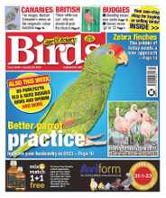 Cage & Aviary Birds (Digital) Subscription                    January 25th, 2023 Issue
