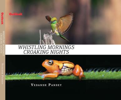 Whistling Mornings Croaking Nights Digital Back Issue Cover