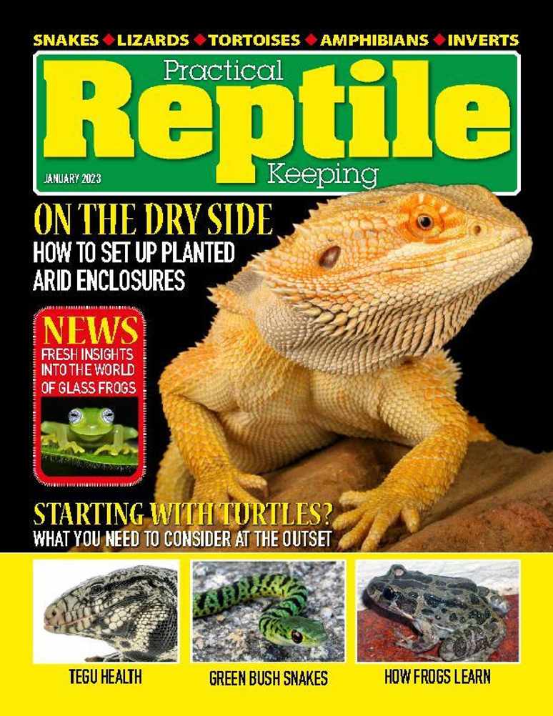 Chinese Box Turtle Care And Breeding - Reptiles Magazine