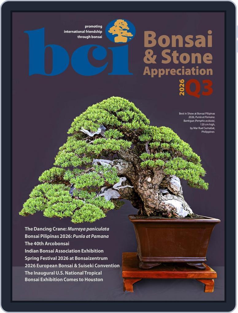 BCI Bonsai & Stone Appreciation