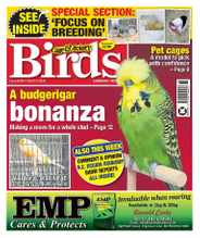 Cage & Aviary Birds (Digital) Subscription                    March 8th, 2023 Issue
