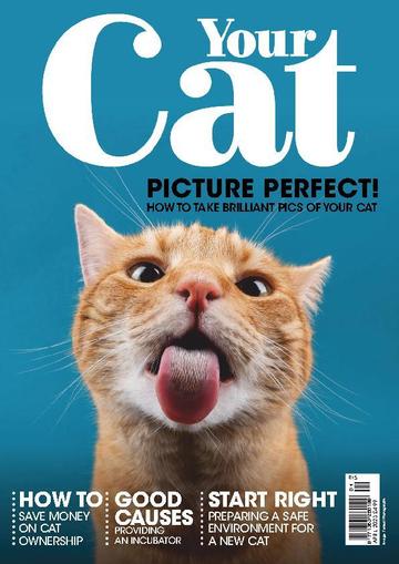 Your Cat April 1st, 2023 Digital Back Issue Cover